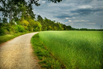 road in the countryside