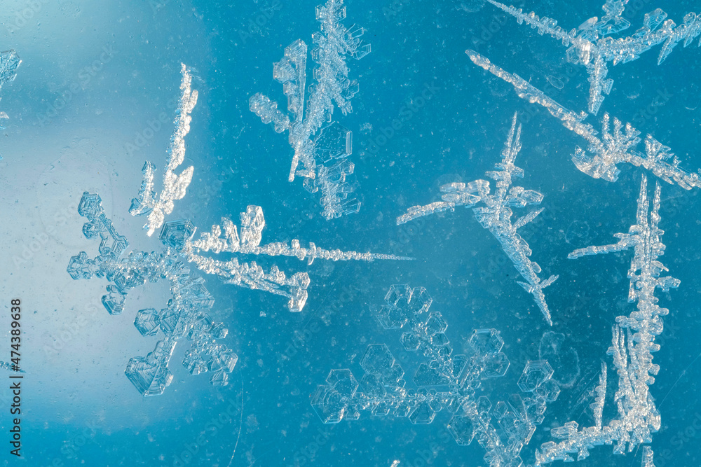 Poster snowflakes on a window. macro shot