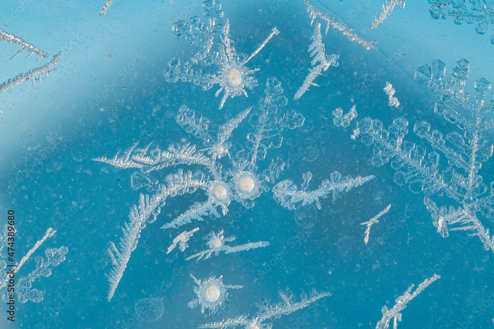 Poster snowflakes on a window. macro shot