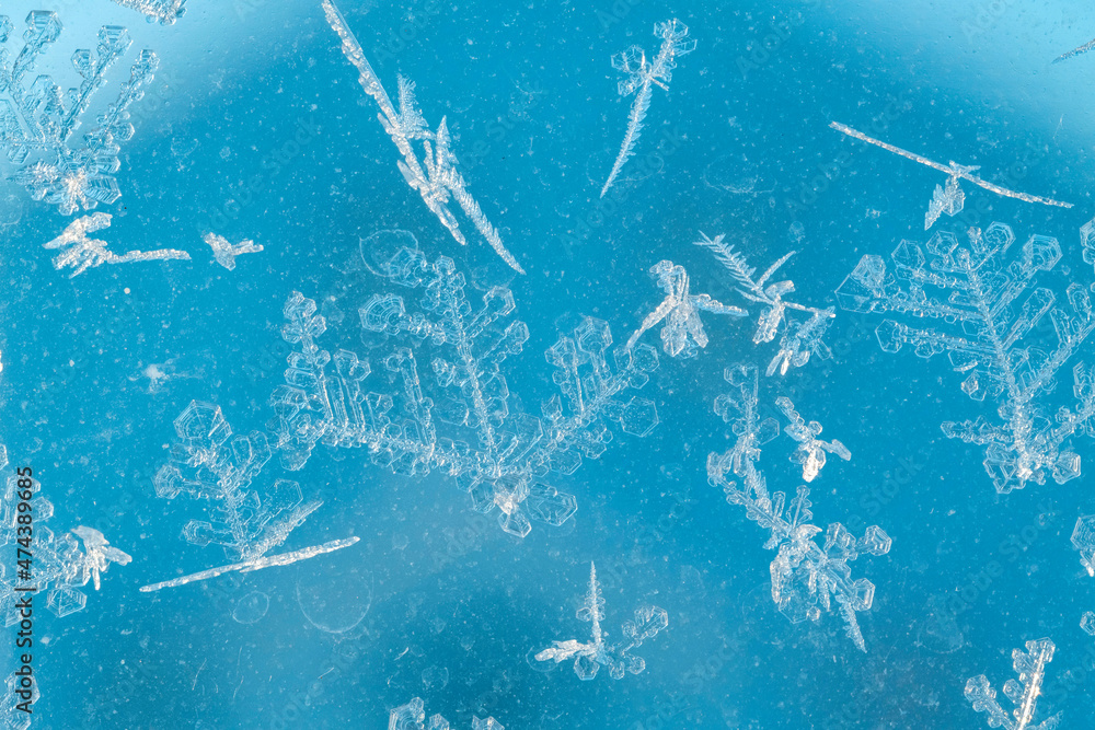 Poster snowflakes on a window. macro shot