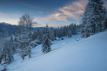 Blaue Stunde auf der Alm