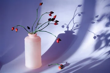 Papier Peint photo Pantone 2022 very peri Branches avec des groseilles à maquereau et un vase avec des ombres et du soleil. Style minimaliste. Composition intérieure en violet très tendance couleur très péri de l& 39 année 2022.