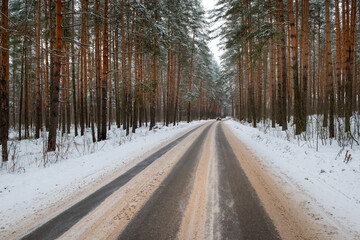 Obraz premium Rural highway through pine forest on a winter day