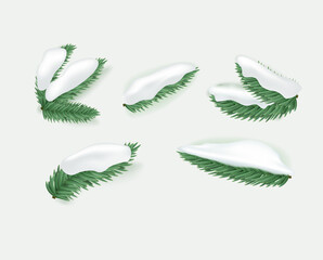 Green pine brunches with snow caps. 3d vector