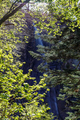 木々の間から見える滝