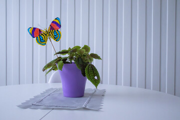 Roślina z motylem na stole - obrazy, fototapety, plakaty