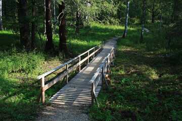 Wooden pedestrian bridge in the forest