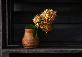 Blooming hydrangea. Still life with flowers in a minimalist style.