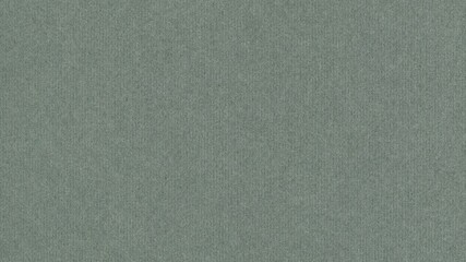 elegant light grey cardboard texture background