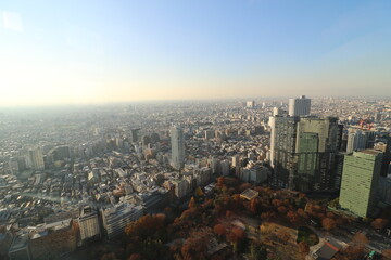 Obraz premium 東京都庁