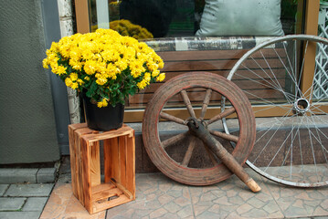 Fototapeta na wymiar Old wheels and yellow chrysanthemums in pot.Potted chrysanths on crate, metal bicycle and wooden cart wheel on city street