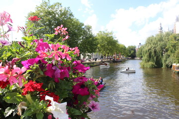 Flowers in canal
