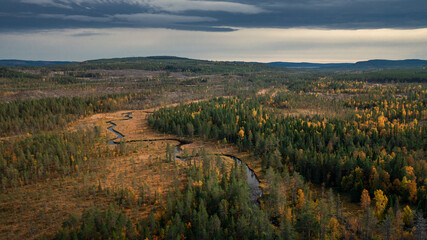 Wild landscape with forest and river in autumn in Jämtland in Sweden from above, coloured trees and cloudy sky.