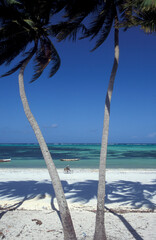 ZANZIBAR BWEJUU EASTCOAST LANDSCAPE