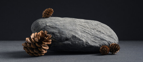 Black stone and pines. Product display podium on black background.	

