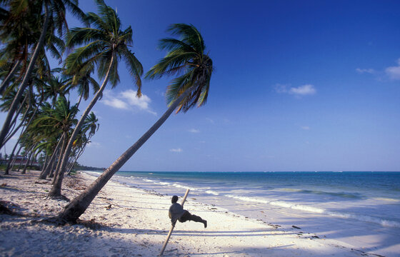 ZANZIBAR BWEJUU EASTCOAST LANDSCAPE