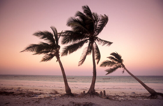 ZANZIBAR BWEJUU EASTCOAST LANDSCAPE