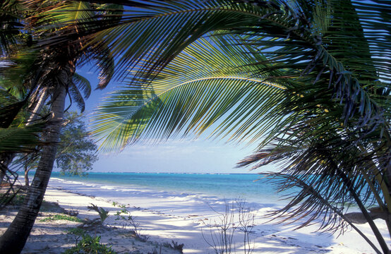 ZANZIBAR BWEJUU EASTCOAST LANDSCAPE