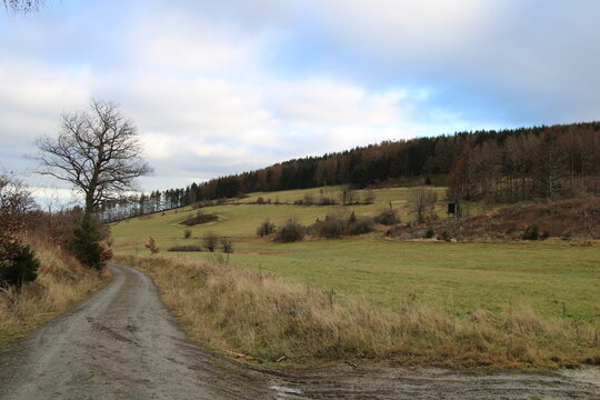 Winterwanderung im Harz, F&ouml;rster-Stieg (Hiking in the winter season in the Harz Mountains) | Quellwiesenbiotop Reinbach bei Goslar