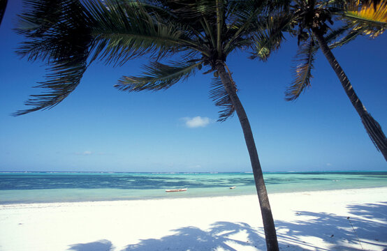 ZANZIBAR BWEJUU EASTCOAST LANDSCAPE