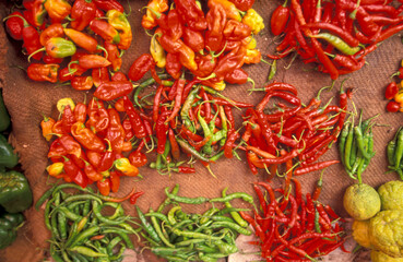 ZANZIBAR STONE TOWN MARKET