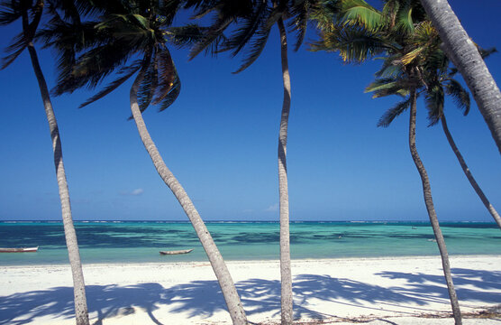 ZANZIBAR BWEJUU EASTCOAST LANDSCAPE