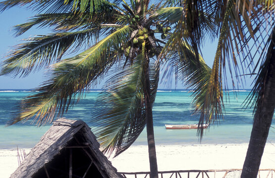 ZANZIBAR BWEJUU EASTCOAST LANDSCAPE