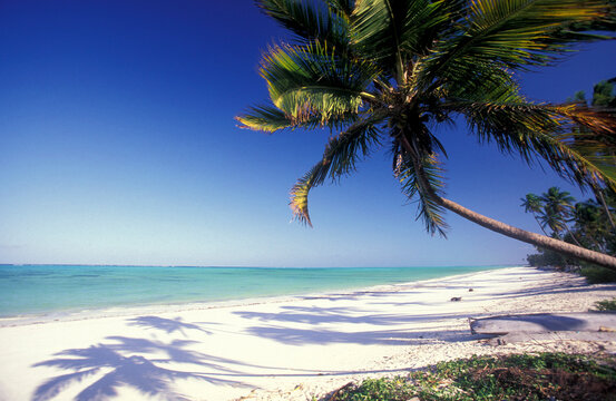 ZANZIBAR BWEJUU EASTCOAST LANDSCAPE