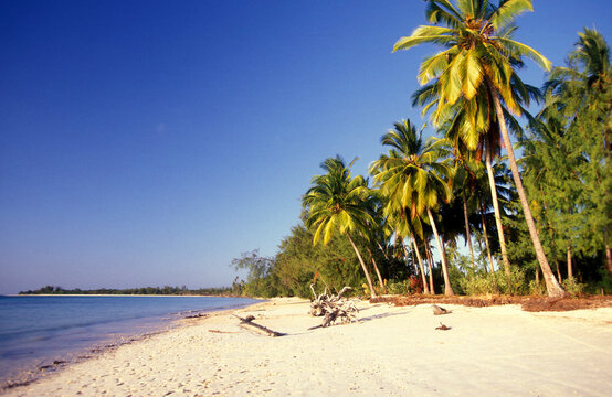 ZANZIBAR BWEJUU EASTCOAST LANDSCAPE