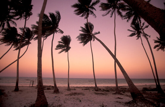 ZANZIBAR BWEJUU EASTCOAST LANDSCAPE