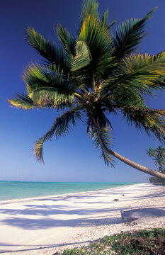 ZANZIBAR BWEJUU EASTCOAST LANDSCAPE