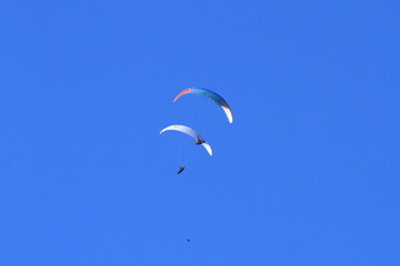 flying high in the sky