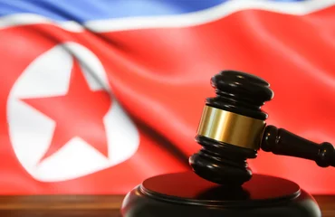 Foto op Canvas Closeup of isolated judge wood gavel with blurred north korea flag background (focus on hammer head) © Ralf