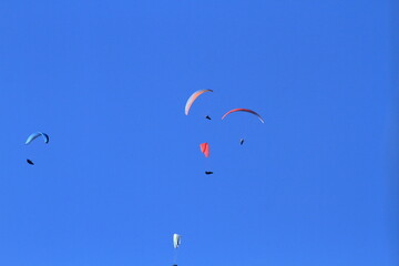 flying high in the sky