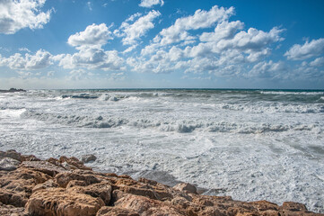 A strong November wind drives roaring waves to the shore, tearing white foam from them. All the...