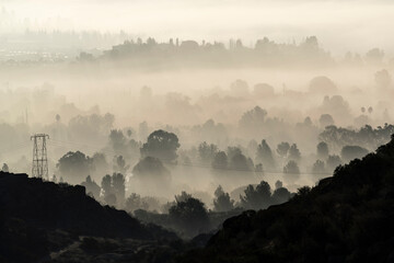 Morning fog in the west San Fernando Valley suburb of Los Angeles, California.