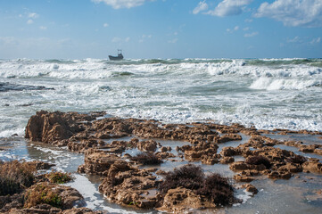 A strong November wind drives roaring waves to the shore, tearing white foam from them. All the...