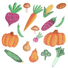 colored vegetables set on white background, hand draw and decorated 