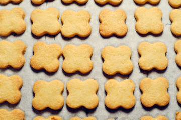 Christmas cookies on baking paper