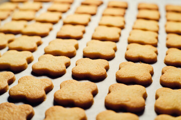 Christmas cookies on baking paper