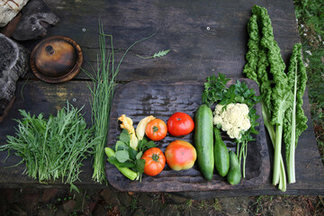 warzywa na stole plony zdrowie zielenina żywność