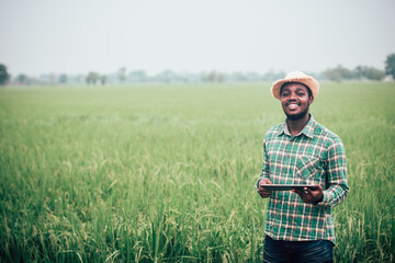 Naklejka na ściany i meble African farmer using tablet for research leaves of rice in organic farm field.Agriculture innovation and cultivation concept