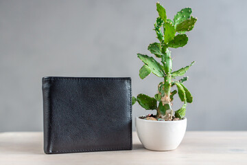 Concept of vegan cactus leather, sustainable leather alternative made from Opuntia Cactus plant. Green eco-leather wallet or bag and a cactus in a flower pot.