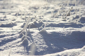 a meadow covered with snow on a clear winter day