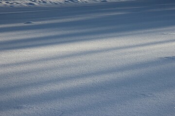 smooth snow surface and tree shadows on it