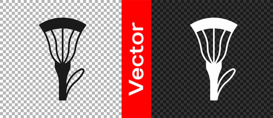 Black Egyptian lotus icon isolated on transparent background. Vector