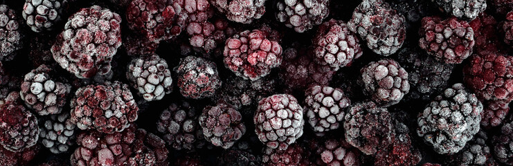 Background and texture of frozen blackberry berries. Panorama.