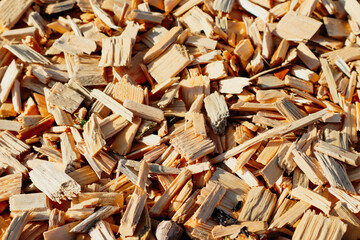 a lot of small chopped wooden pieces in the sunlight