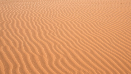 Natural sandy waves in the Namib desert. Background.