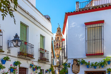 Flower Street in Cordoba
